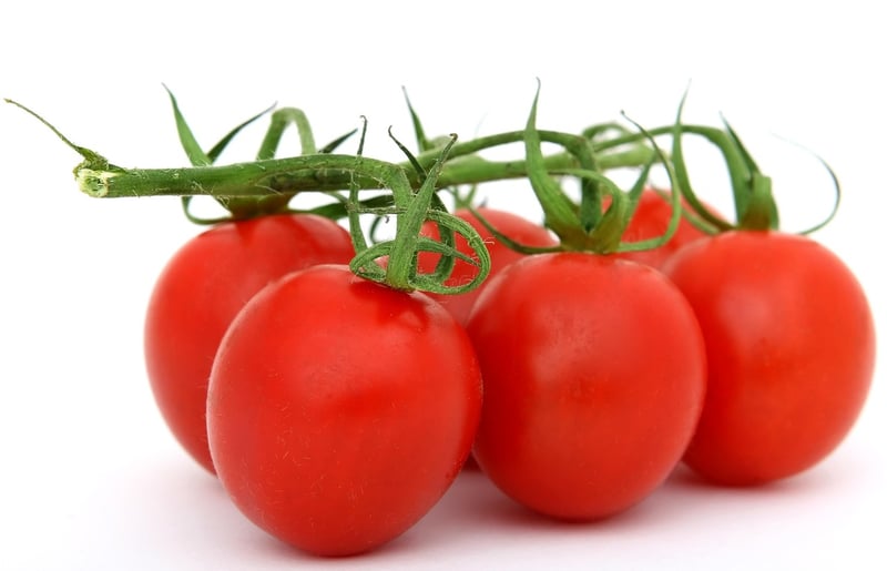 Mediterranean Cuisine